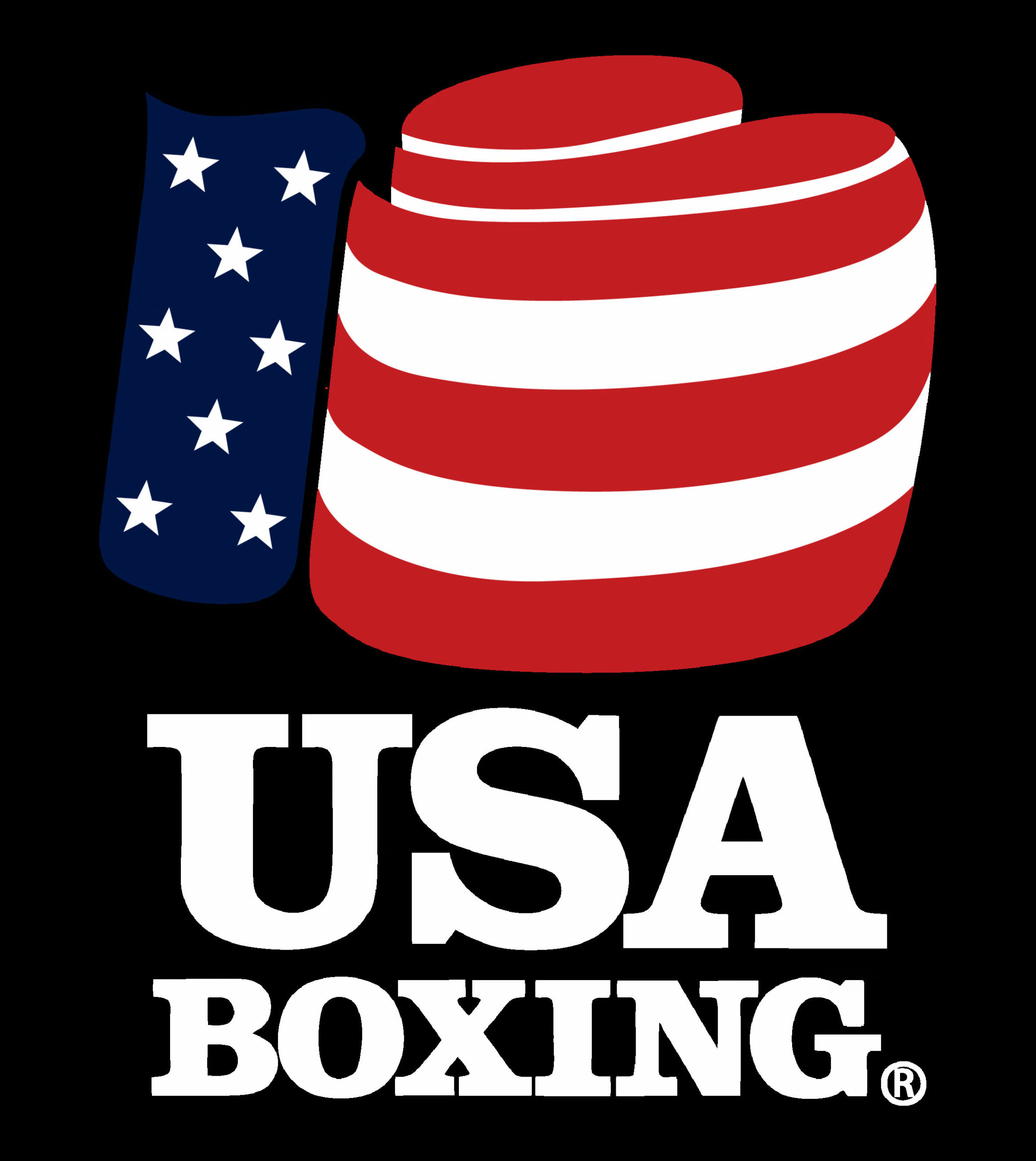 Logo of USA Boxing organization.